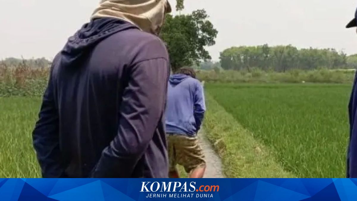 Cegah Puso Saat Kemarau, Serang Andalkan 600 Pompa Air dan Strategi Tanam