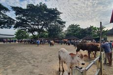 Dua Kalurahan di Gunungkidul Zona Merah Antraks, Pemkab Kaji Pemberian Ganti Rugi Ternak Mati