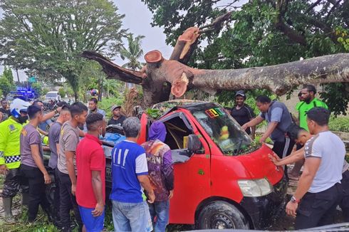 Cerita Bambang, Selamat Saat Mobilnya Tertimpa Pohon Tumbang, Melompat ke Parit