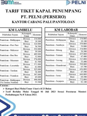 Pelabuhan Pantoloan Palu dilayani kapal KM Labora dan Lambelu. Pelabuhan Palu Sulawesi Tengah juga dipakai untuk angkutan peti kemas.