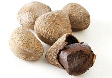 Kluwek: Rahasia Kepayang pada Kuliner Nusantara