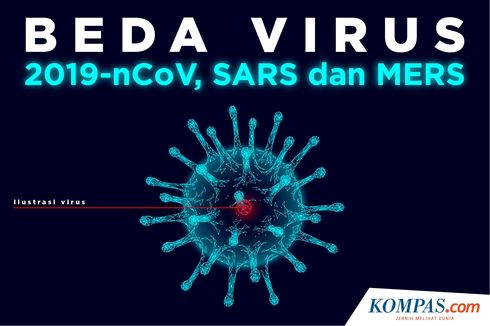 INFOGRAFIK: Perbedaan Virus Corona Wuhan, SARS dan MERS