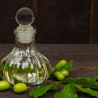 Ilustrasi minyak nimba atau neem oil. 