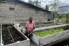 Kebun Gizi Apung, Harapan Baru Ketahanan Pangan Masyarakat Asmat