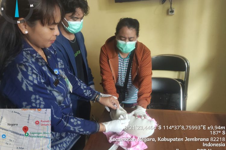 50 Hewan Divaksin Usai Anjing Rabies Gigit 3 Warga di Jembrana Bali