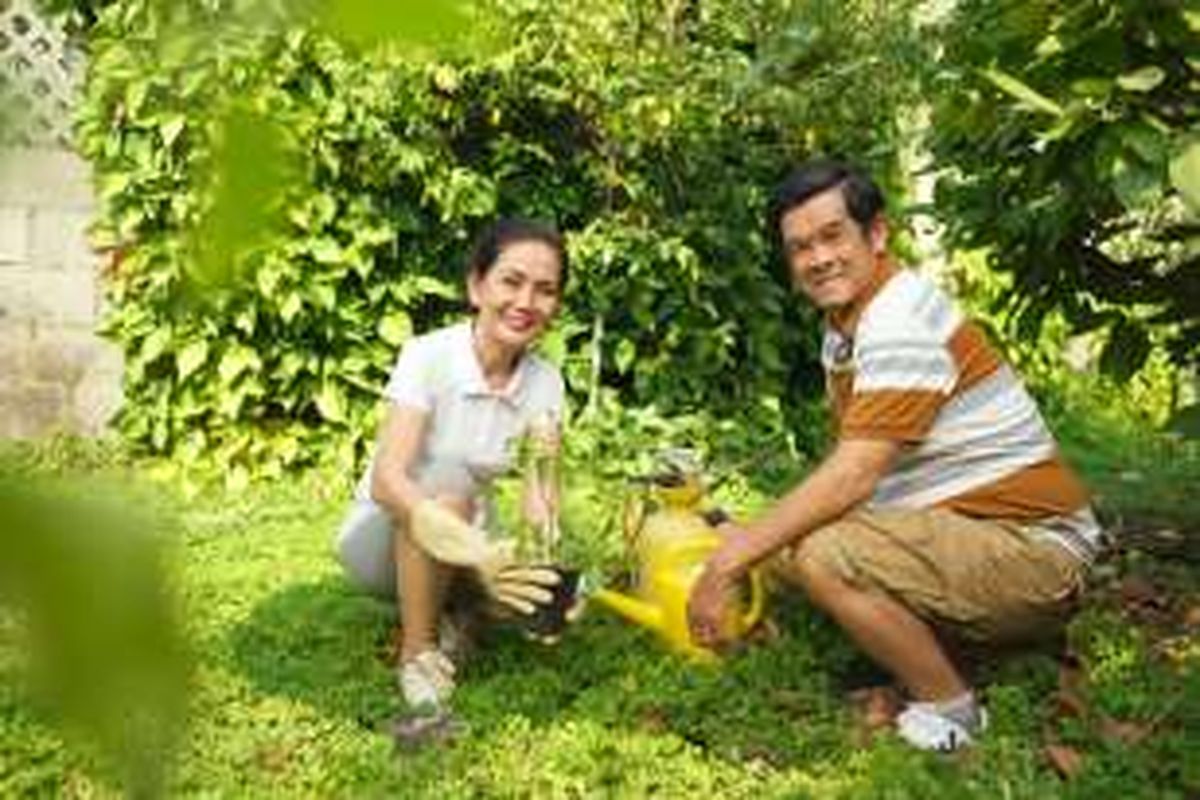 Aktivitas berkebun di pekarangan rumah