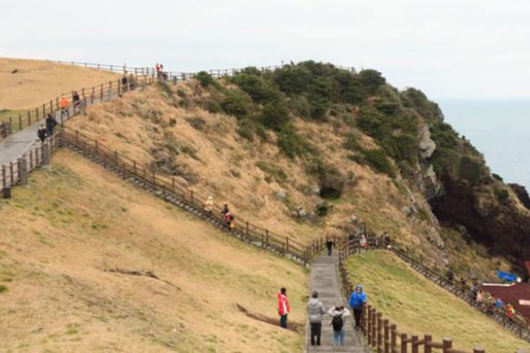 Wisatawan di Pulau Jeju, Korea Selatan.