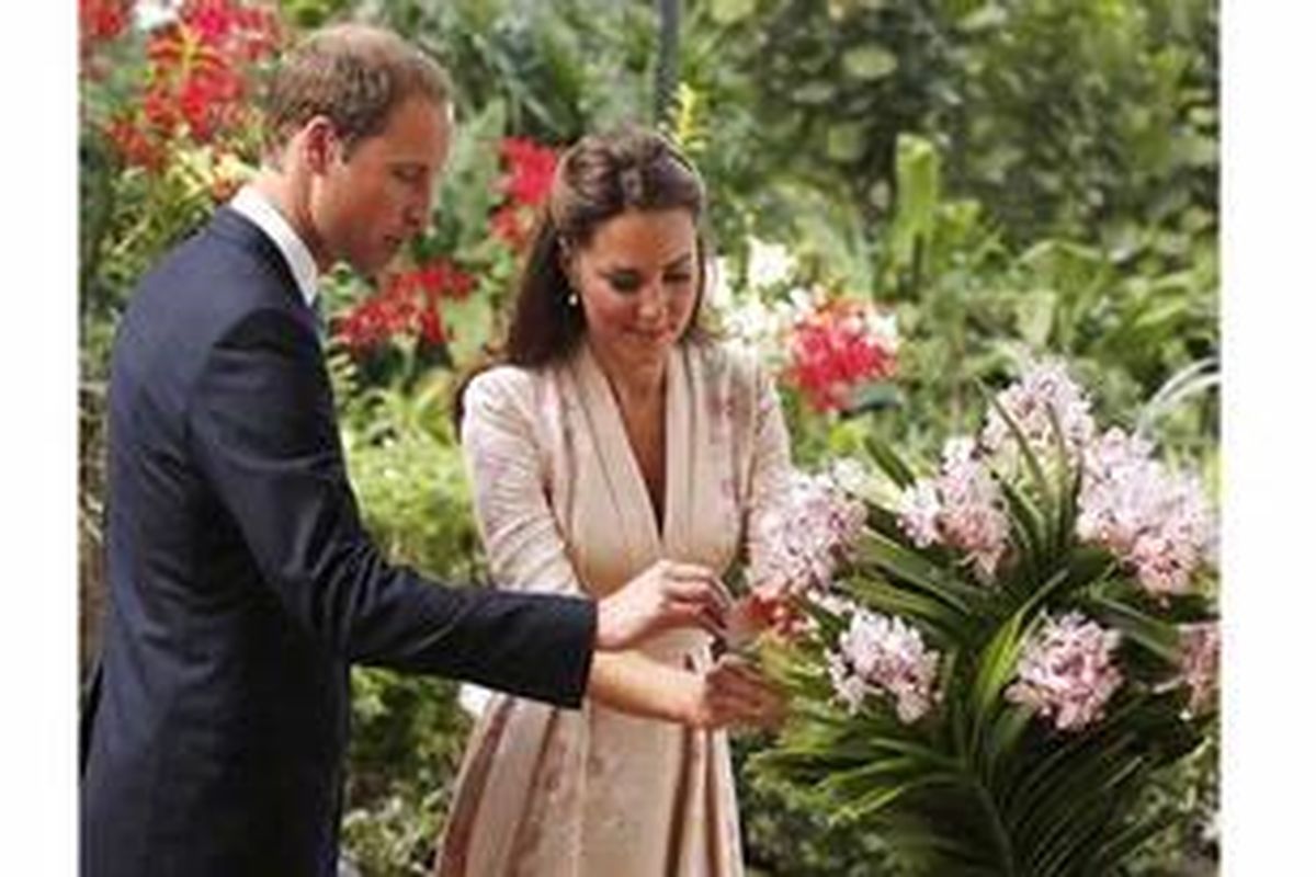 Kate Middleton dan Pangeran William mengamati anggrek Vanda William Catherine di Botanic Gardens, Singapura, Selasa (11/9/2012) lalu.