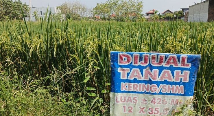 Ombudsman Ungkap Celah Rawan Korupsi Layanan BPN, 6 Kantor Disorot