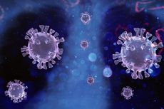 Mengenal Varian “Delta Plus”, Mutasi Baru Virus Corona Varian Delta