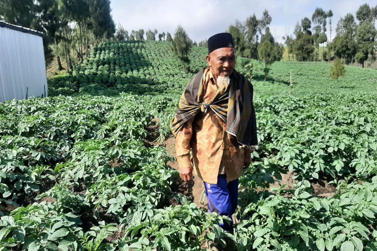 Mbah Kerto, miliarder asal Desa Ranupane, Kecamatan Senduro, Kabupaten Lumajang, Jawa Timur, saat saat melihat tanaman kentangnya, Jumat (1/7/2022)