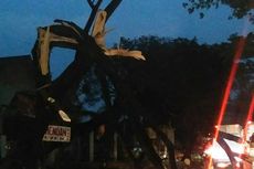 Hujan Deras dan Angin Kencang, Pohon Tumbang Timpa Mobil di Cianjur
