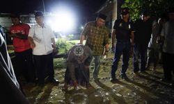 Percepat Penyelesaian Program Seribu Jalan Mulus, Pemkab Seluma Jalankan Titik Nol di 92 Proyek