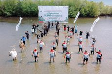 Pertamina Trans Kontinental Tanam 5.500 Bibit Mangrove di Bali