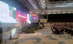 Bappenas Ingatkan Dampak Ekspansi Sawit yang Terlalu Cepat dan Kesampingkan Keberlanjutan