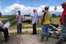 Perbaiki Irigasi, Produktivitas Petani di Jayapura Meningkat