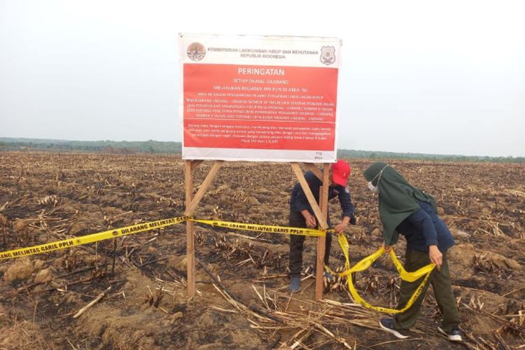 Gakkum KLHK menyegel lahan milik PTPN VII Cinta Manis Ogan Ilir, Sumatera Selatan yang terbakar.