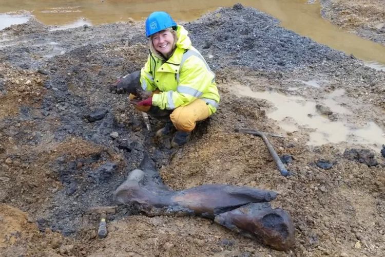 Sally Hollingworth dan suaminya menemukan fosil mamut dan kapak purba di kawasan bekas tambang di Wiltshire, Inggris.