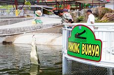 Wisata Reptil di Predator Fun Park Batu Jawa Timur