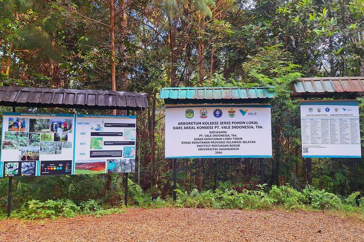 Arboretum Himalaya Hill hasil kolaborasi PT Vale Indonesia, Dinas Kehutanan, IPB, dan Unhas menjadi bukti keberhasilan reklamasi sejak 2006.