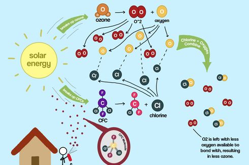 Senyawa Haloalkana yang Menyebabkan Kerusakan Ozon