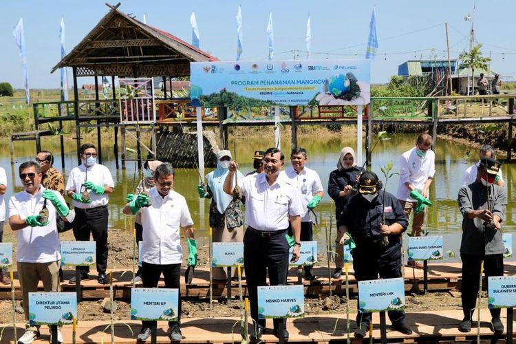 Menteri Koordinator Bidang Kemaritiman dan Investasi (Menko Marves) Luhut Binsar Pandjaitan didampingi Menteri LHK dan Menteri KKP dalam agenda penanaman mangrove di Kabupaten Maros, Sulawesi Selatan, Jumat (19/8/2022).