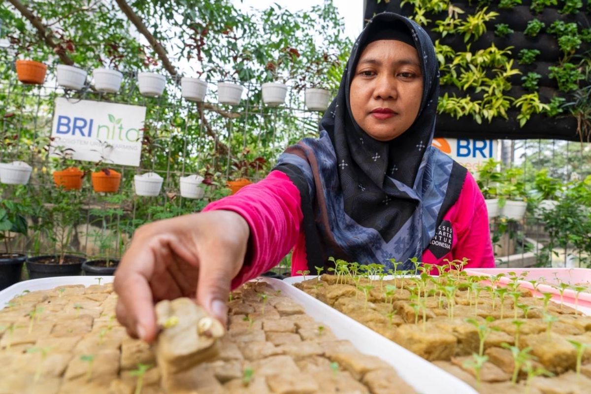 Program BRInita BRI meraih penghargaan Sustainable Impact in Women-Led Urban Agriculture pada ajang Mata Lokal Fest 2025. 