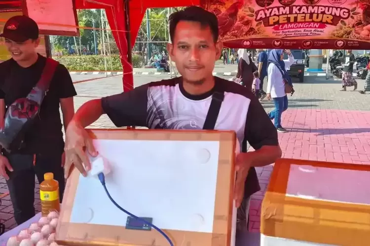 Peternak Lamongan Bikin Mesin Penetas Telur Rp 300.000, Bisa Pakai Power Bank