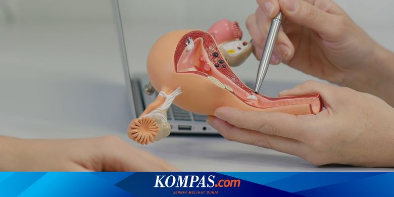 Mengenal Histerektomi, Tindakan Operasi Pengangkatan Rahim - Vimarsana News