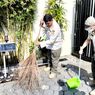 Pemkot Jakpus Kerahkan 250 Satpol PP untuk Bersih-bersih di Gereja Menjelang Natal 2023