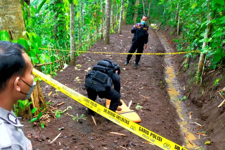 Personel Unit Jibom Polda Jawa Timur melakukan evakuasi granat nanas di ladang warga Desa Olak Alen, Kecamatan Selorejo, Kabupaten Blitar, Jawa Timur, Sabtu (27/11/2021) sore