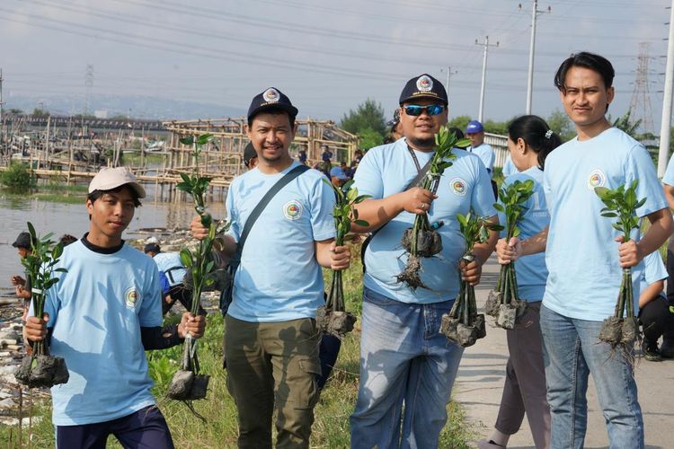 Pelindo menanam 1.500 bibit mangrove di kawasan pesisir Tambak Lorok, Semarang, Jawa Tengah. 