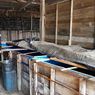 Gerebek 2 Pabrik Miras di Banyumas, Polisi Amankan 365 Liter Tuak