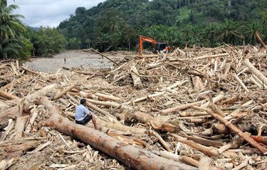 Warga mengamati sampah kayu gelondongan pasca banjir bandang di Desa Aek Garoga, Kecamatan Batang Toru, Kabupaten Tapanuli Selatan, Sumatera Utara, Sabtu (29/11/2025). Sampah kayu gelondongan tersebut menumpuk di pemukiman warga dan sungai pasca banjir bandang pada Selasa (25/11). ANTARA FOTO/Yudi Manar/bar
