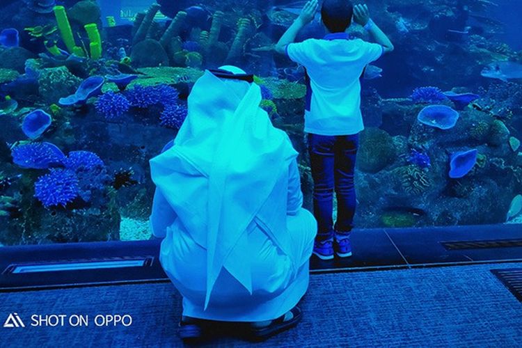 Keindahan Dubai Mall Aquarium, diambil dengan OPPO R17 Pro