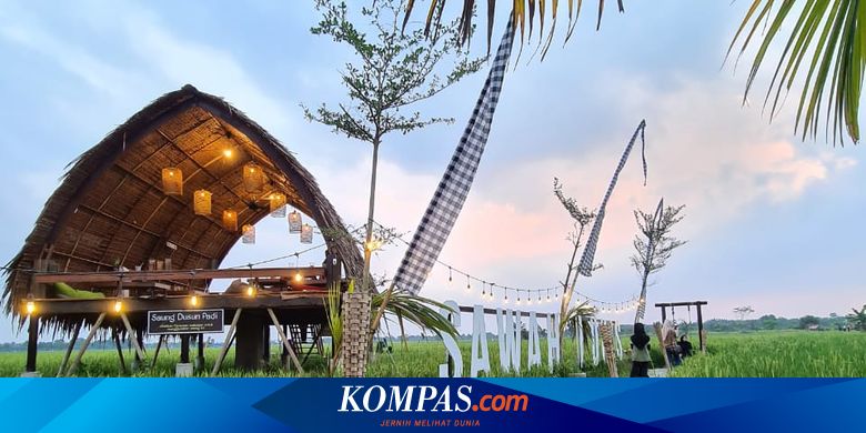 Sawah Lukis Binjai, Wisata Baru di Tengah Sawah yang ...