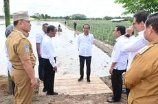 Jokowi Ungkap Kementan Akan Penuhi Kebutuhan Pompa untuk 7.600 Hektare Sawah di Kotawaringin Timur