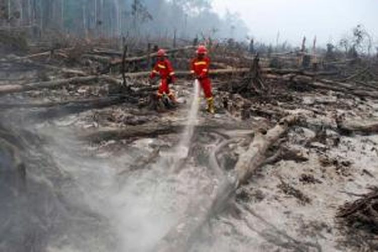 Petugas pemadam kebakaran berupaya memadamkan kebakaran hutan di  Cagar Biosfer Giam Siak Kecil, rumah untuk satwa langka, terancam punah, dan spesies endemik di Tasik Betung, Kabupaten Siak, 3 September 2015.