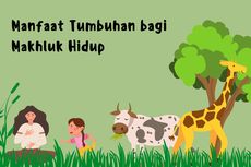 Manfaat Tumbuhan bagi Makhluk Hidup