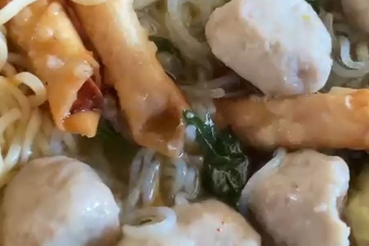 Ulat bergerak pada bakso dalam menu MBG di Blora, Jawa Tengah, Rabu (15/10/2025)