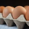 Harga Telur Ayam Mengalami Kenaikan, Apa Penyebabnya?