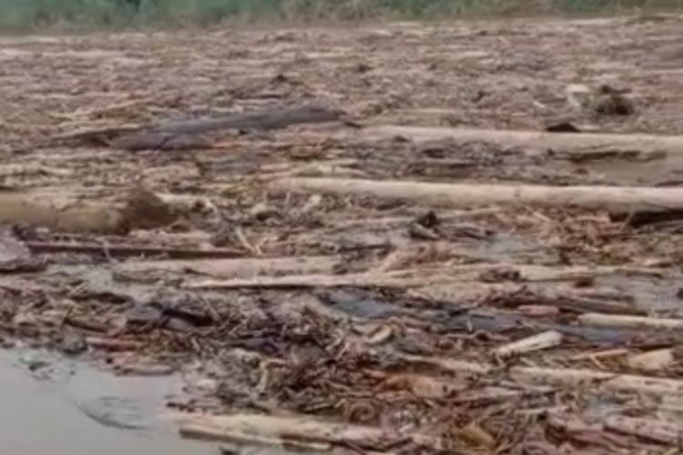 Inilah penampakan mengerikan aliran Sungai Batang Lubuh dipenuhi kayu dan luapan sungai mengakibatkan banjir di permukiman warga di Kecamatan Rambah, Kabupaten Rokan Hulu, Riau, Sabtu (1/1/2022).