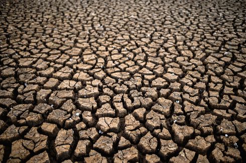 4 Fakta Fenomena El Nino, Pemicu Kekeringan di Indonesia 