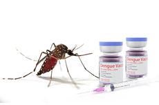 Efektivitas Vaksin Dengue untuk Mencegah Demam Berdarah