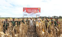 Anggaran Ketahanan Pangan Rp 124,4 Triliun, untuk 'Food Estate' hingga Cetak Sawah