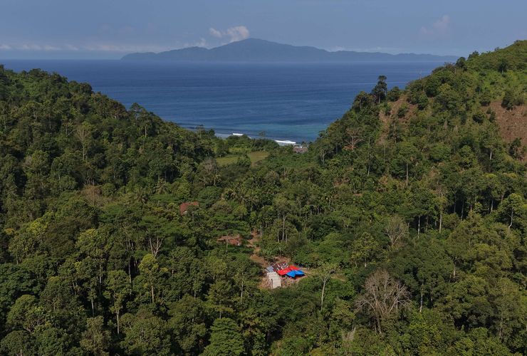 BERITA FOTO: Gubuk Reyot di Tengah Hutan Itu Ternyata Bangunan Sekolah