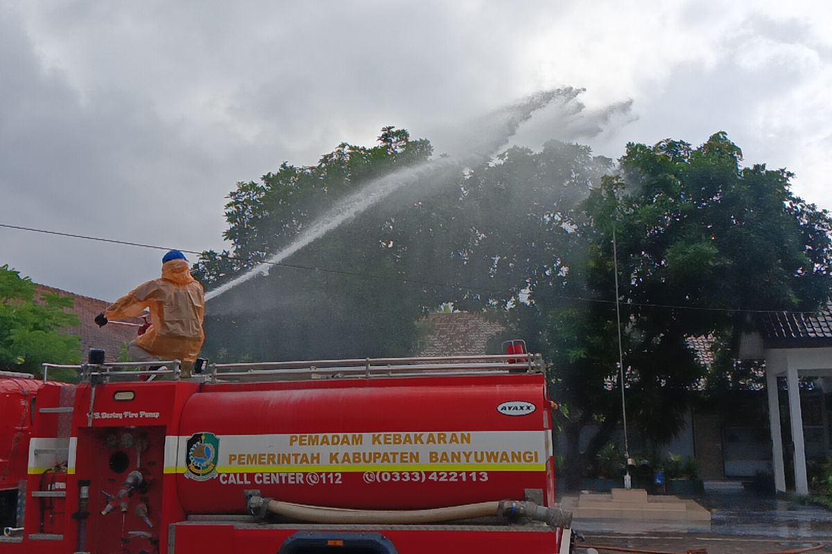 Petugas damkarmat Banyuwangi menyemprot pepohonan dengan cairan khusus untuk memusnahkan hama ulat bulu, Jumat (23/5/2025) 