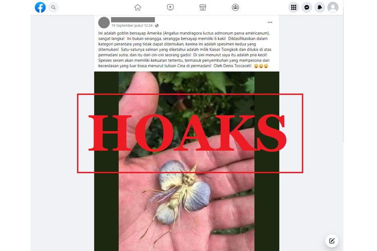 Tangkapan layar unggahan dengan narasi hoaks di sebuah akun Facebook, Senin (19/10/2022), mengenai makhluk langka yang disebut goblin bersayap Amerika.