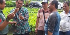 Kementan Pantau Sentra Pembibitan Buah di Kabupaten Magelang