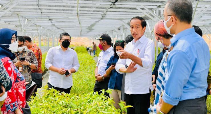 Kunjungi Persamaian Mentawir di Kaltim, Jokowi Sebut Pemerintah Serius soal Tata Lingkungan di IKN